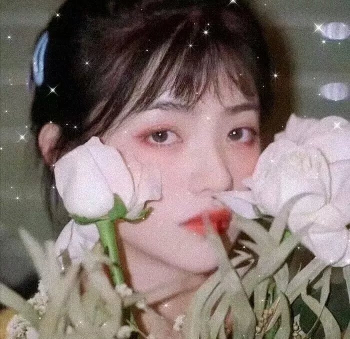 前妻回家